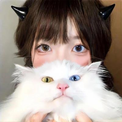 宝嘉先生